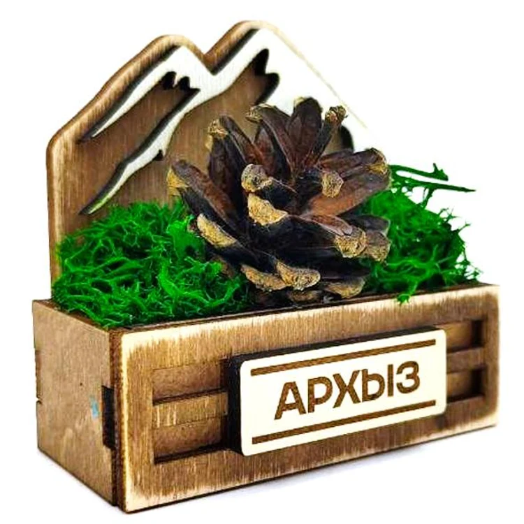 0df29ae3-c784-4e0f-90d1-77e0c029e26d-шишка-архыз2.jpg