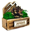 0df29ae3-c784-4e0f-90d1-77e0c029e26d-шишка-архыз2.jpg