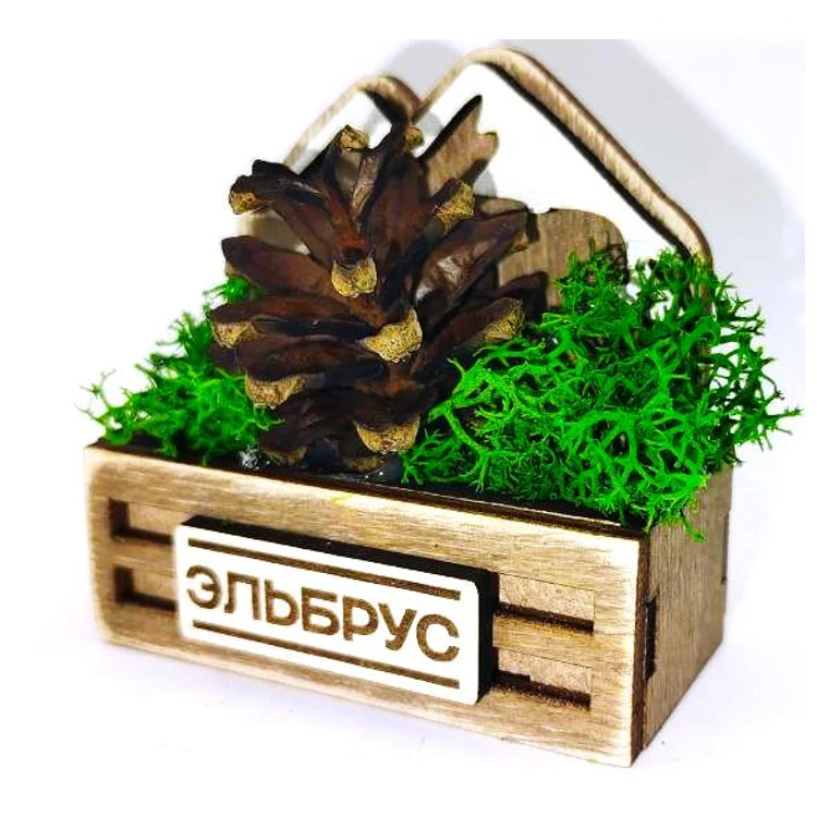 666bb221-eb87-4ed5-a0ec-261d53d82333-шишка-эльбрус-1.jpg