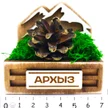 8ed1393f-a9f5-4210-ba45-799e3d6cbcde-шишка-архыз1.jpg