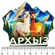 6ac12fa1-740f-4ad6-9453-e1342d085e37-3слояламы1.jpg