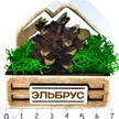 313b5744-fd25-4e81-a0e8-e675e4030b87-шишка-эльбрус-2.jpg