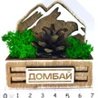 41cd4143-5e2a-49a9-aeb5-c77761108fd4-шишка-домбай-2.jpg